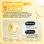 Numbuzin - NO.5 Vitamin Glutathione Dark Spot Laser Cream - Crème visage – 50ml – Image 3